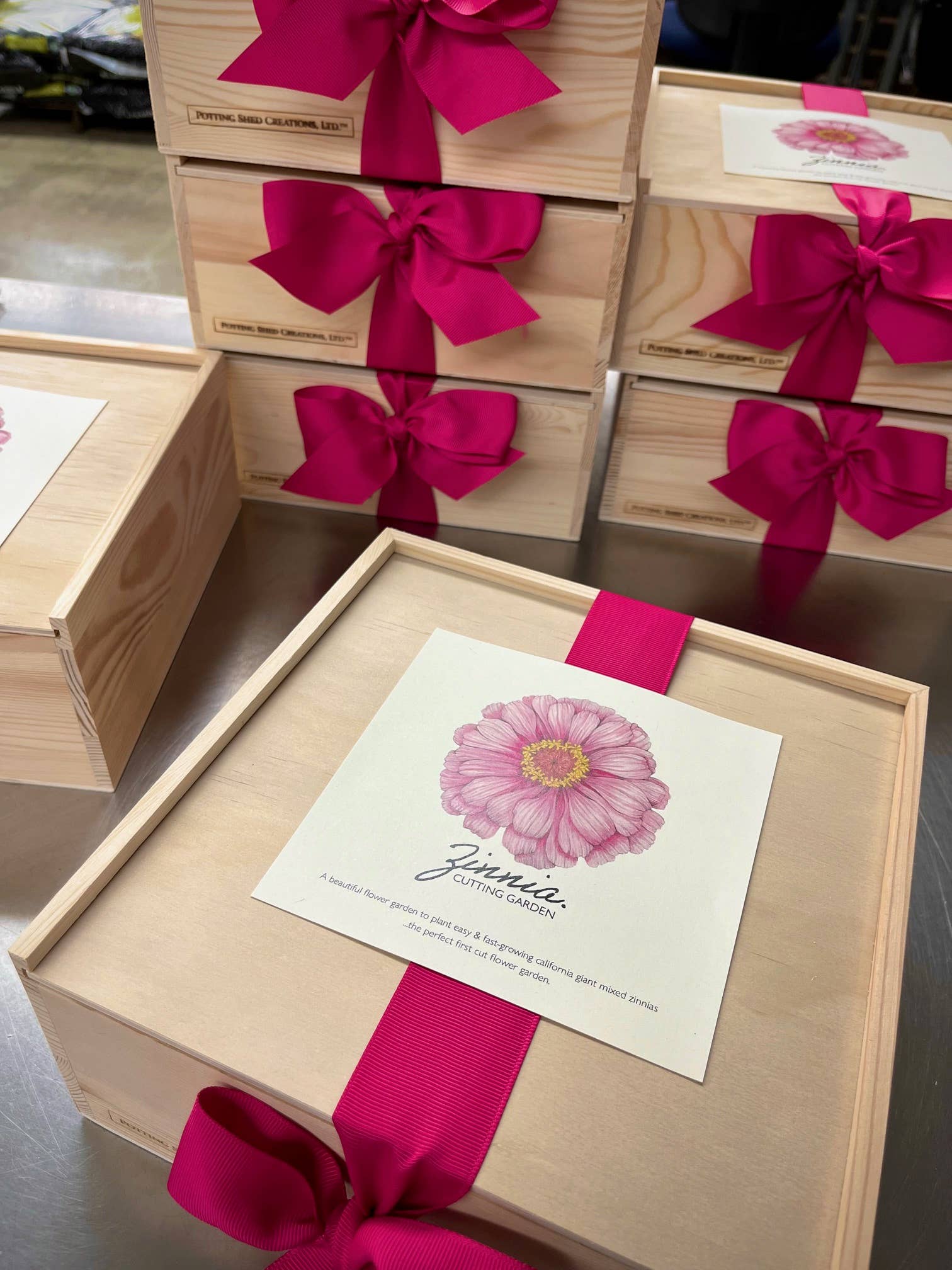 Potting Shed NEW Flower Cutting Garden Box | Mixed Zinnia | Mother's Day