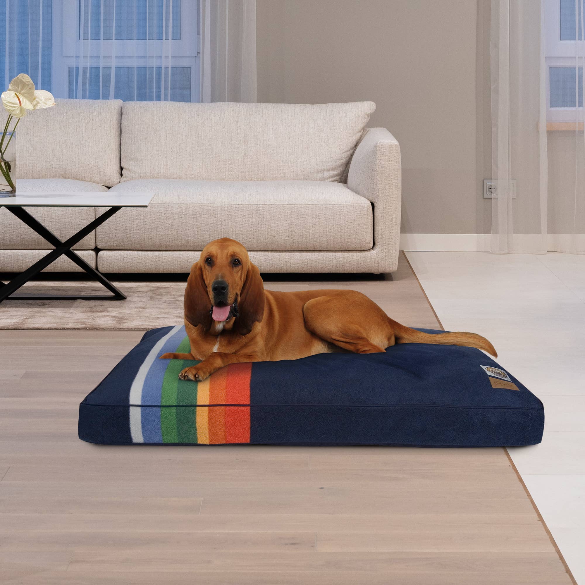 Carolina Pet Co. Pendleton Pet National Park Rectangular Pet Napper Dog Bed: Acadia