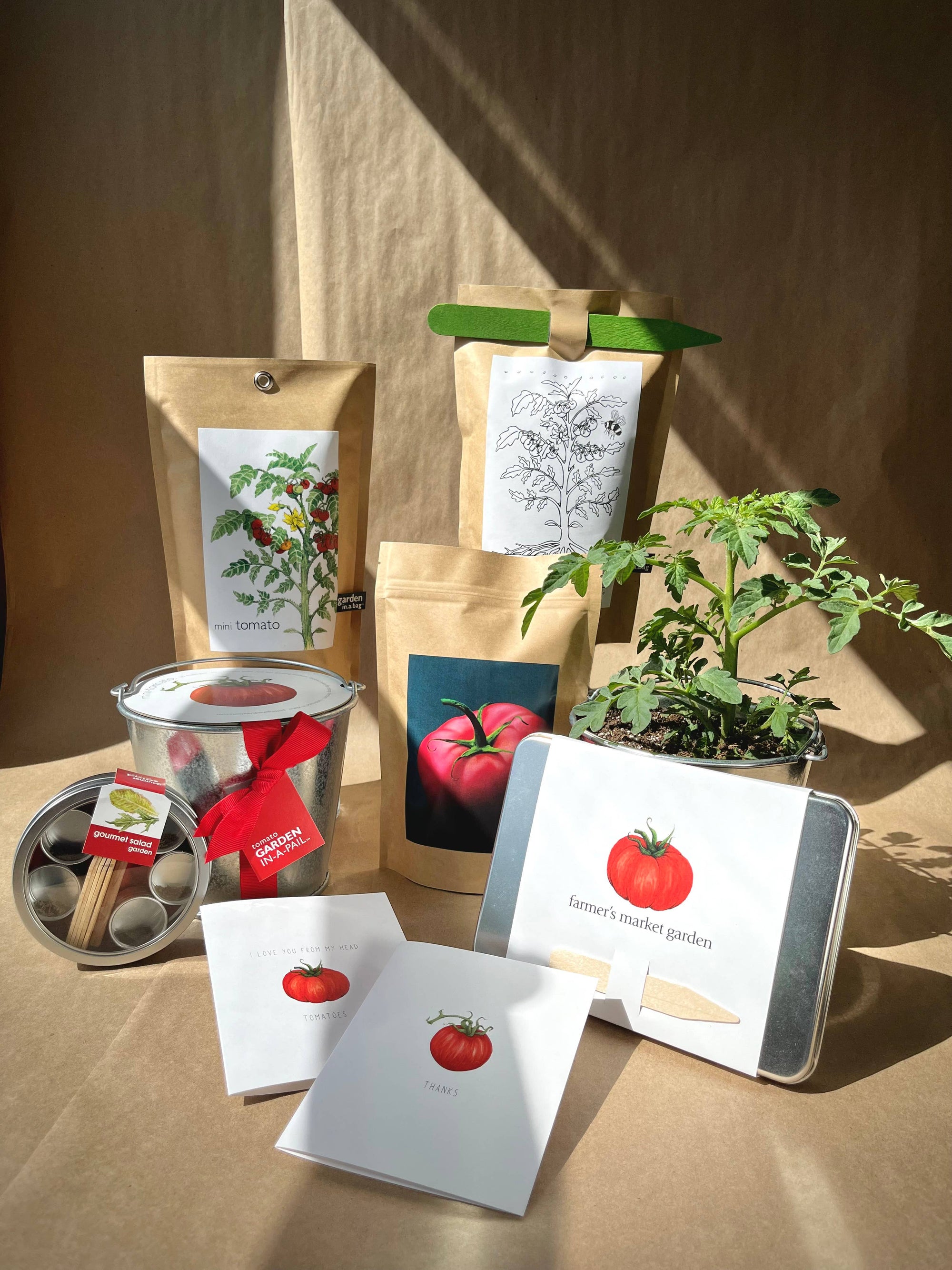 Potting Shed Garden in a Pail | Mini Tomato |Easy Spring Container Garden