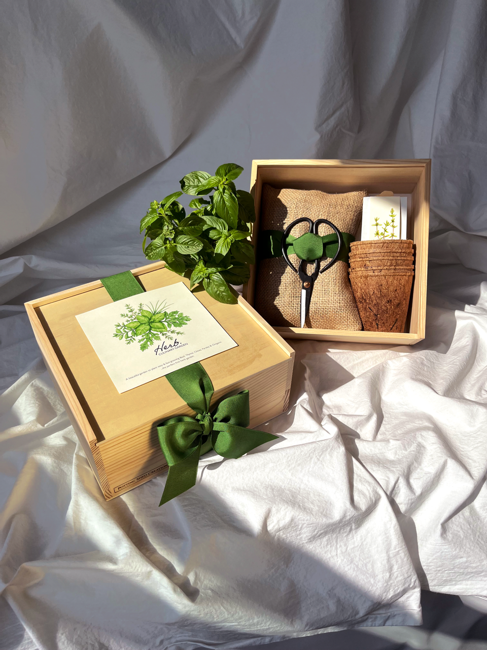 Potting Shed NEW Flower Cutting Garden Box | Mixed Zinnia | Mother's Day