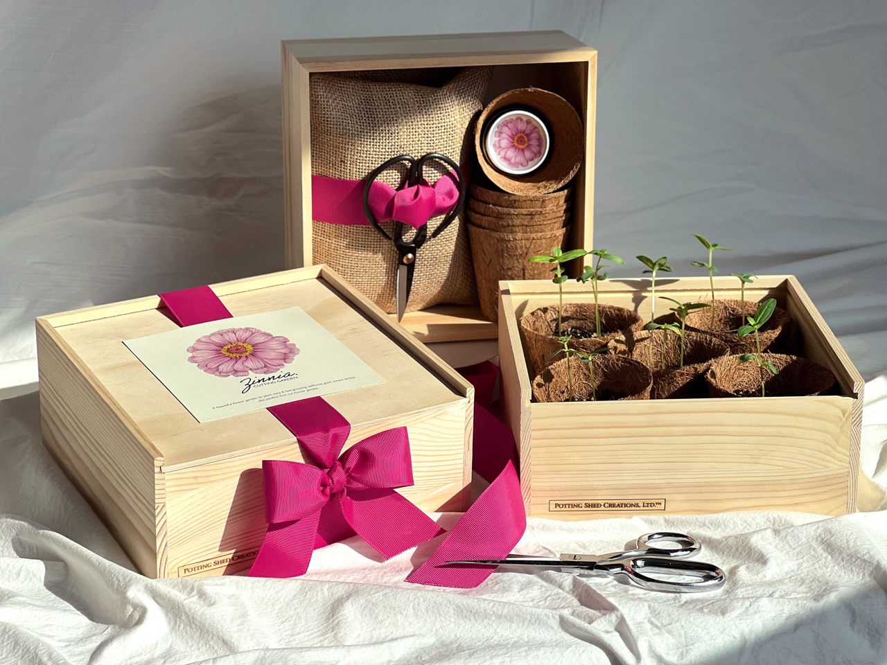 Potting Shed NEW Culinary Herb Garden Box | Mother's Day | Spring